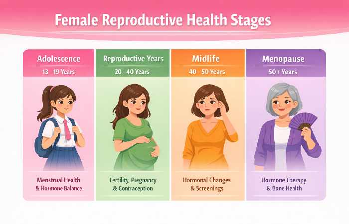 women’s reproductive health lifecycle
