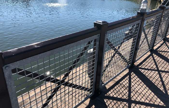 mesh or wire railing