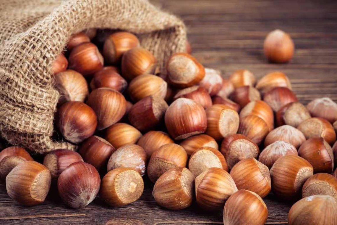 hazelnut