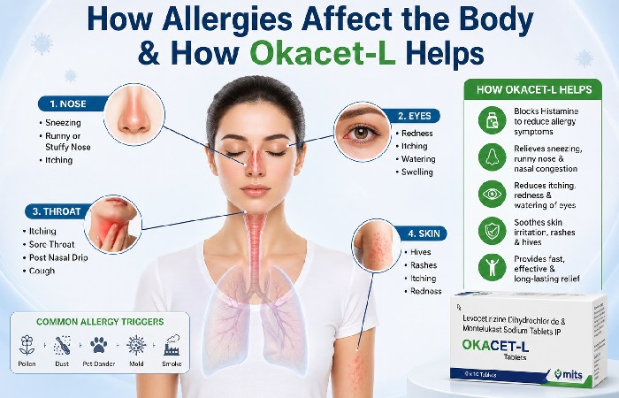 how allergies affect the body