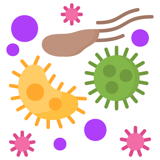 Women's Gut Health