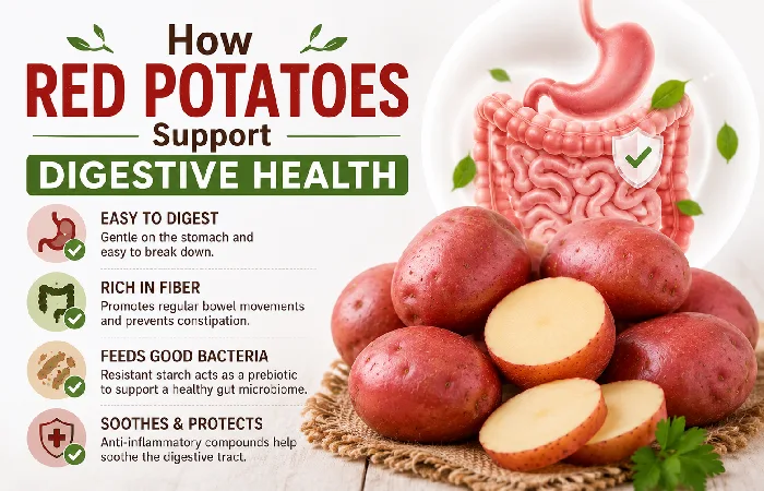 how red potatoes support digestive health