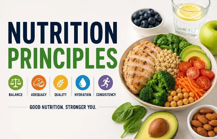 nutrition principles usa