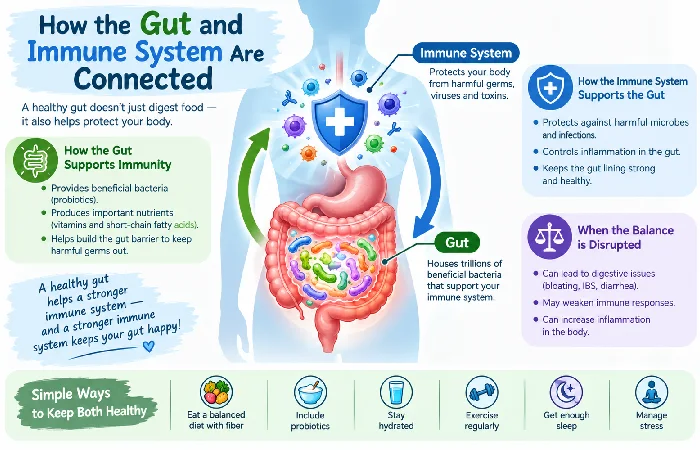 how the gut and immune system are connected