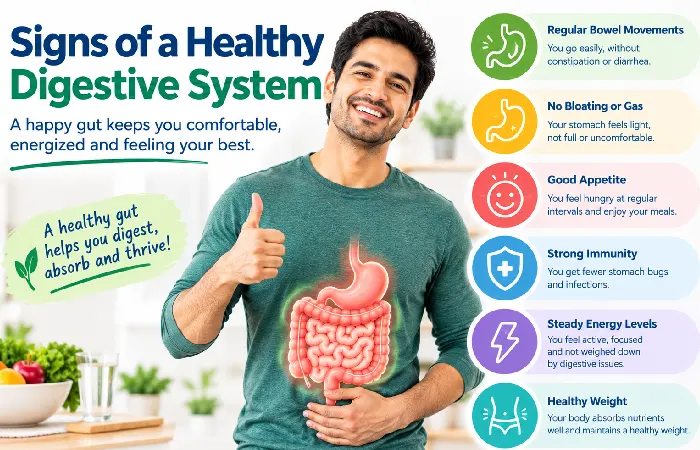 signs of a healthy digestive system